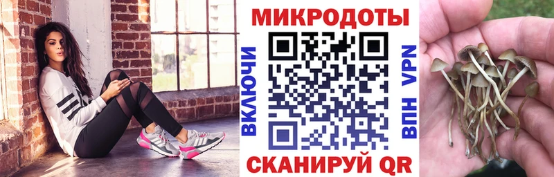 Псилоцибиновые грибы MAGIC MUSHROOMS Купить где Спасск-Рязанский